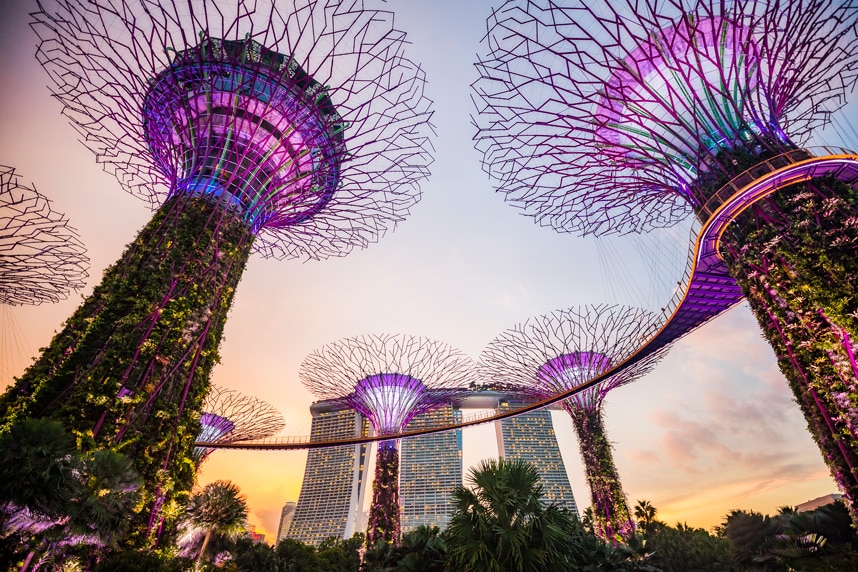 Beleuchtete Singapore Trees bei Sonnenaufgang